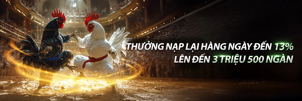 Sân đấu đá gà kịch tính tại 777king99 link vào